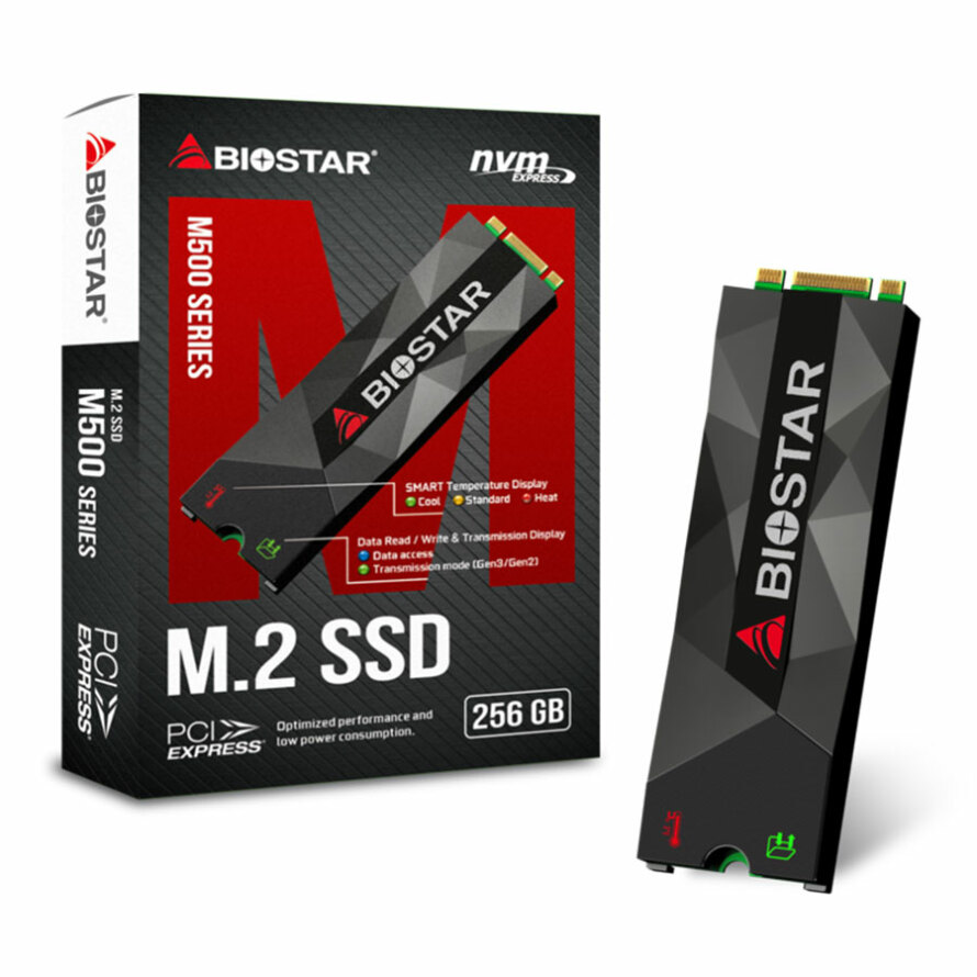 اس اس دی بایواستار M500-256GB NVMe