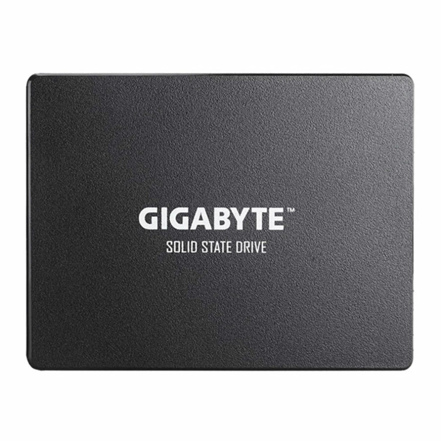 اس اس دی گیگابایت SATA III 256GB