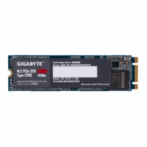 اس اس دی گیگابایت M.2 2280 PCIe 256GB