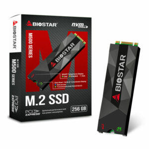 اس اس دی بایواستار M500-256GB NVMe