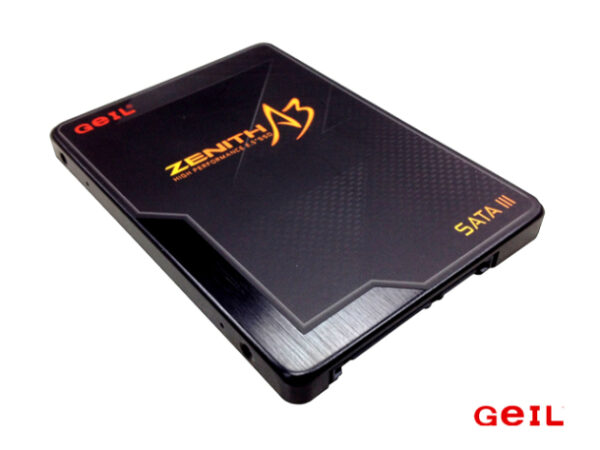 اس اس دی گیل Zenith A3 Series 60GB